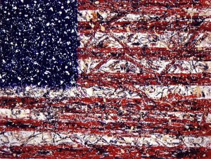 American Flag ~ Todd Monaghan